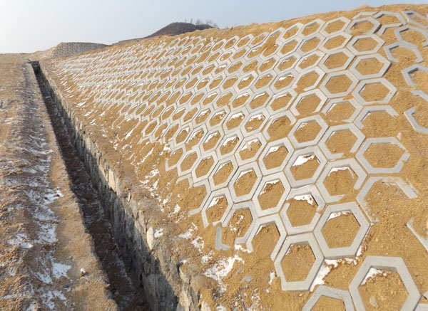 ���̰���