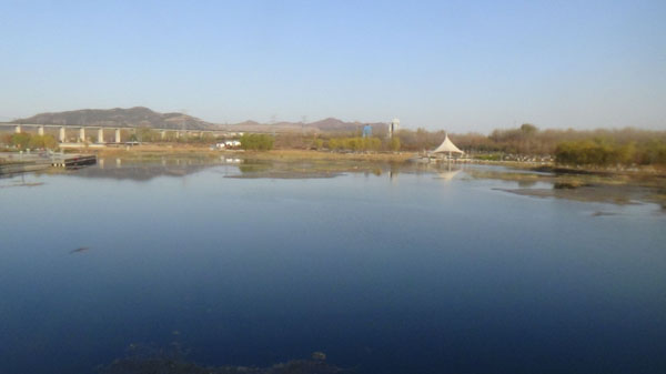 ���̰���